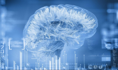 美國高防服務器如何防御DDoS攻擊